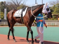 「東京シティ競馬」、レストランをリニューアル！　本格的な料理と豪華な内装に注目