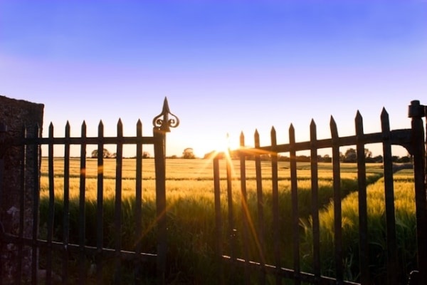 【2024年4月20日から】宇宙の扉「ブルズゲート」が開く時期の過ごし方