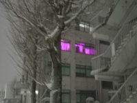 校舎の窓から漏れ出す〝真っピンクの光〟に7.2万人困惑　「異世界に繋がる部屋」「黒魔術でもやっとるんか」