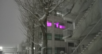 校舎の窓から漏れ出す〝真っピンクの光〟に7.2万人困惑　「異世界に繋がる部屋」「黒魔術でもやっとるんか」