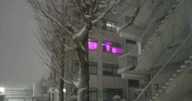 校舎の窓から漏れ出す〝真っピンクの光〟に7.2万人困惑 「異世界に繋がる部屋」「黒魔術でもやっとるんか」