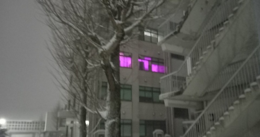 校舎の窓から漏れ出す〝真っピンクの光〟に7.2万人困惑　「異世界に繋がる部屋」「黒魔術でもやっとるんか」