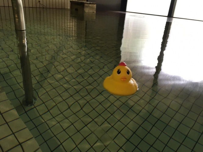 水風呂にプカプカ（画像は旭川高砂台 万葉の湯（manyo_asahikawa）から、以下同）