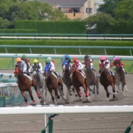 競馬