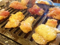 親鳥専門店　ばかたれのプレスリリース画像