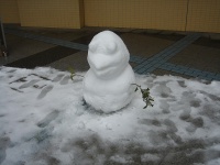 画像はイメージです（towserさん撮影、Flickrより）