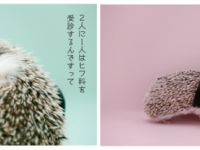 マルホ株式会社のプレスリリース画像