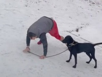凍結した庭で走り出した愛犬「あっダメ！走らないで！」と思ったときには遅かった…