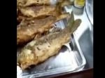 ビチビチッ！　カラッと揚がったはずの魚が動き出す・・・！！