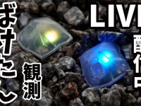 株式会社ソリッドアライアンスのプレスリリース画像