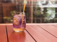 Trattoria THE CODEのプレスリリース画像