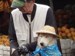 愛犬と買い物中に雨が。その時のおじさんの行動に感動した・・・。