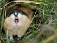 聞いたことある？信憑性をおびてネットに出回った28のデマ