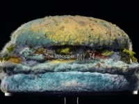 バーガーキング、カビだらけのハンバーガーを誇らしげに宣伝（アメリカ）