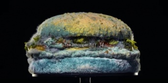 バーガーキング、カビだらけのハンバーガーを誇らしげに宣伝（アメリカ）
