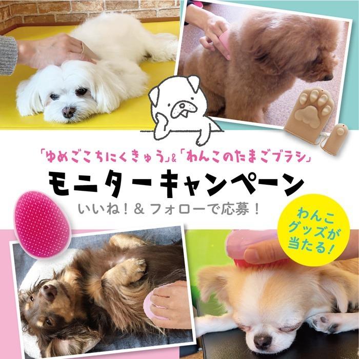 株式会社ビューティーワールドのプレスリリース画像