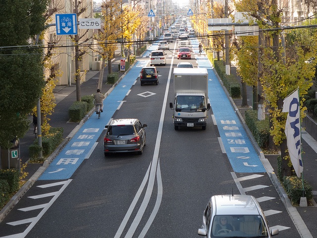 兵庫県道606号線（西宮豊中線） 自転車専用レーン