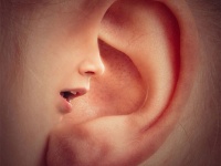 あなたはできる？一部の人は自らの意思で、耳の中で音を鳴らすことができる