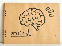 何歳になっても能力を伸ばしたい人が知っておくべき「脳の8つの番地」（＊画像はイメージです）