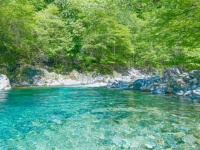 「死ぬまでに必ず行く場所リストがまた増えた」　初夏の長野に広がる〝最強の絶景〟に14万人感動