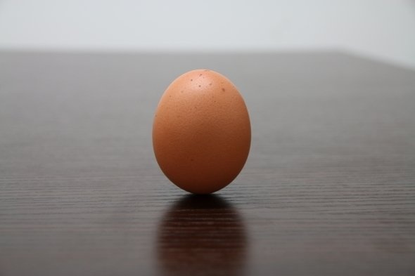 立った!