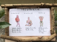 長崎バイオパーク公式ツイッターより