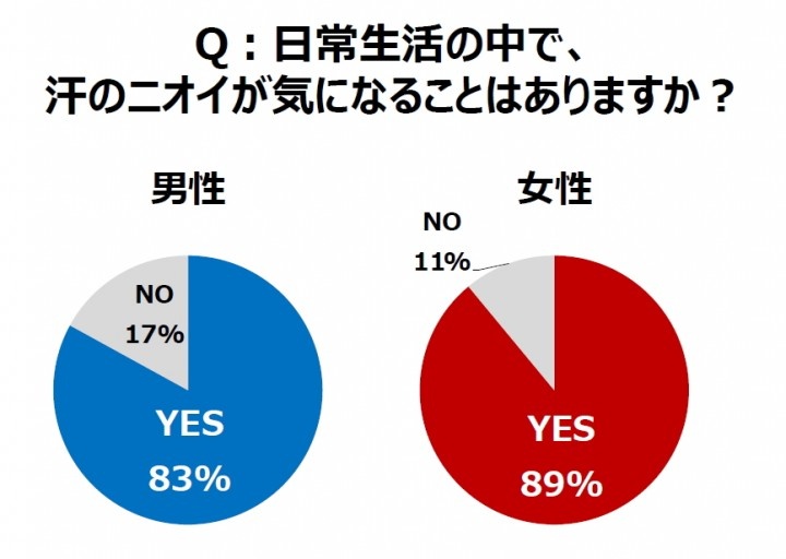 「エージーデオ24」PR事務局のプレスリリース画像