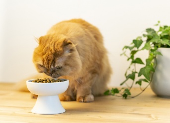 株式会社Wa-lifeのプレスリリース画像