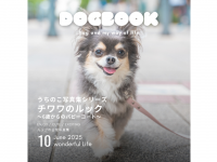 アッカ・コミュニケーションズ合同会社のプレスリリース画像