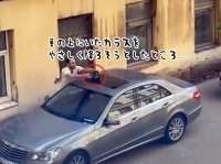 やさしく降ろしてあげたのに...人生に新たなる敵、カラス集団を作り上げてしまった男性の悲劇