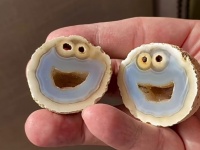 卵型の鉱物を割ったら中からクッキーモンスター！世界一かわいいなメノウが発見される