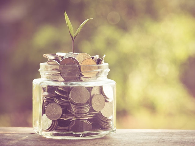 plant growing out of coins