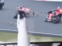 猫の魔の手はテレビ内にも伸びる。次々と転倒させられる人々