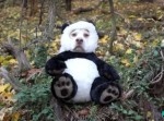 ビーグル犬の“かぶりもの姿”が可愛いくてジワジワくる
