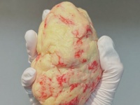 暗殺一家のエリートかな？　お菓子作りの途中で〝臓器を抜き取った〟みたいになった話