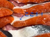 「ここ」は鮭の「大トロ」だそう（画像は王子サーモン【公式】（Oji_Salmon