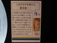 何かがおかしい...？（上越市立水族博物館提供）