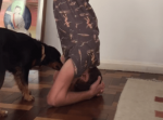 自宅でヨガの練習を始めた男性。それを見た犬が驚くべき行動に・・・！