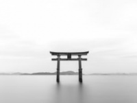 画像はイメージです