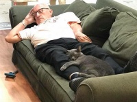 猫たちに大人気。毎日動物施設を訪れ、孤独を抱えた保護猫と一緒にお昼寝するボランティアのおじさん（アメリカ）