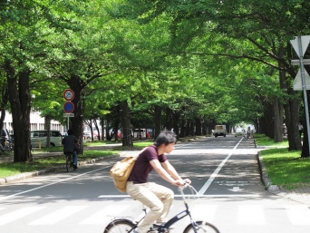 北海道大学キャンパス風景（MIKI Yoshihitoさん撮影,Flickrより）