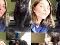 オフィスキャットのルナさん、社員の方と素敵なツーショット。その様子に関する海外の反応は？