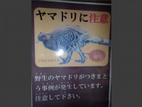 青葉の森緑地管理センター提供