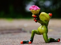 【男女のちがい】告白の返事はいつほしい？⇒せっかちさんが多いのは〇性！