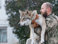 ワンルームのアパートでオオカミと一緒に暮らす父娘（ロシア）