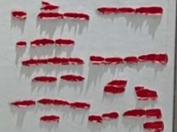 画像提供；爆発電波2（＠expsy_2）さん