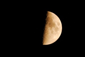 【愛と官能の月占い】今夜は上弦の月！　月の満ち欠けから占う12月19日から12月24日までのラブ運