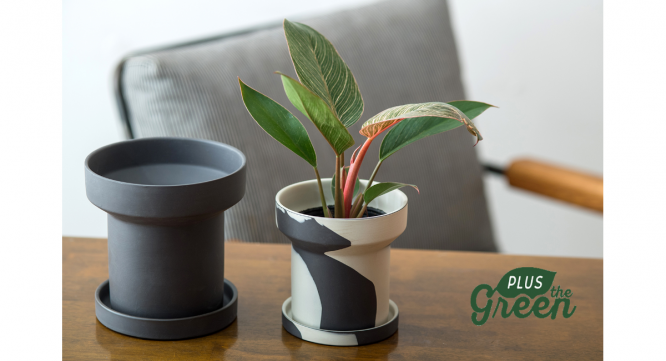 有限会社ポッシュリビングのプレスリリース画像