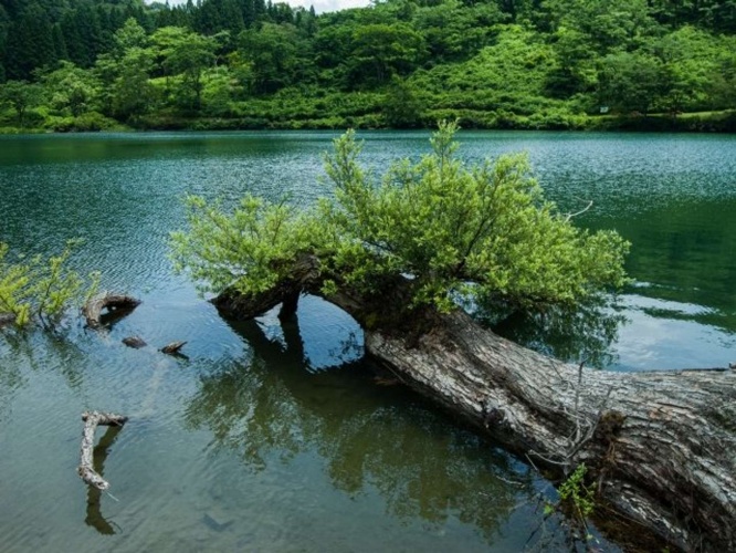 湖に女性一人という見慣れない光景（画像はイメージ）