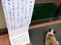 貼り紙とネコを撮影した飲食店「高崎Ring Road」（＠ringroad1）のツイート